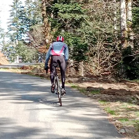 Cosy De Payolle 康庞