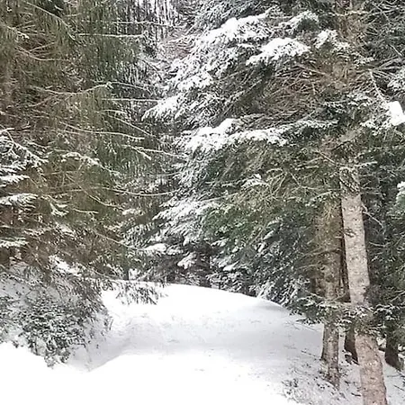 度假居 Cosy De Payolle 康庞