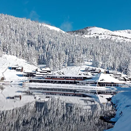 Cosy De Payolle * 康庞