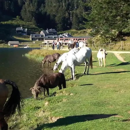 別荘 Cosy De Payolle