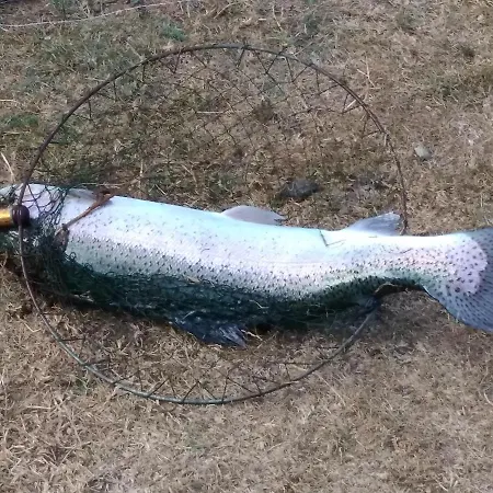 Cosy De Payolle 別荘 カンパン