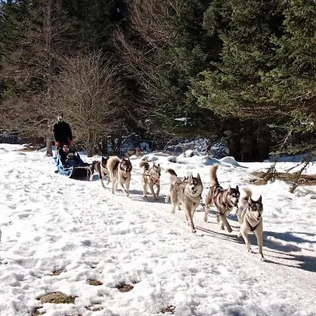 Cosy De Payolle 別荘 *