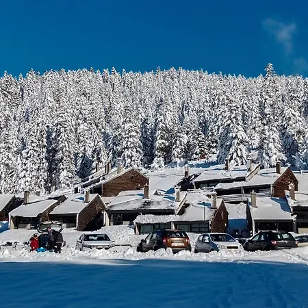 Holiday home Cosy De Payolle Campan